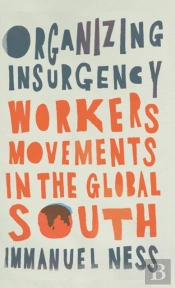 Organizing Insurgency