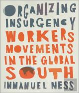 Organizing Insurgency
