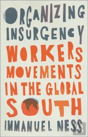 Organizing Insurgency