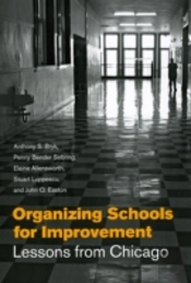 Organizing Schools For Improvement