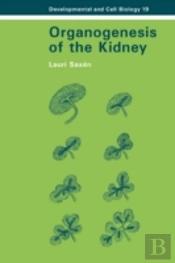 Organogenesis Of The Kidney