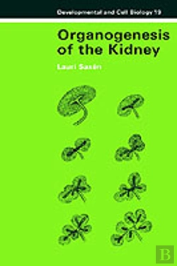 Bertrand.pt - Organogenesis Of The Kidney