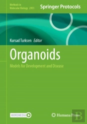 Organoids