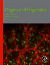 Organs And Organoids