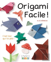 Origami Facile !