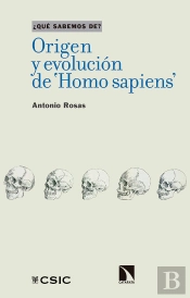 Origen Y Evolucion De Homo Sapiens
