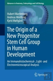 Origin Of A New Progenitor Stem Cell Group In Human Development