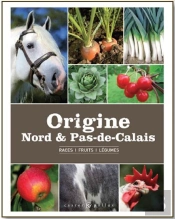 Origine Nord Et Pas De Calais