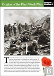 Origins Of The First World War
