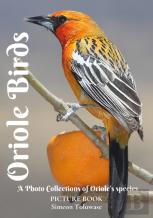 Oriole Birds Picture Book A Photo Collections Of Oriole'S Species