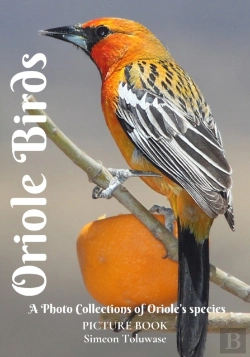 Bertrand.pt - Oriole Birds Picture Book A Photo Collections Of Oriole'S Species