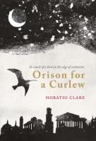 Orison For A Curlew