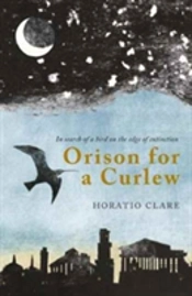 Orison For A Curlew