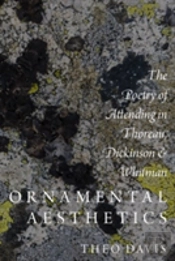 Ornamental Aesthetics