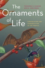 Ornaments Of Life