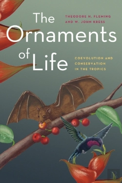 Bertrand.pt - Ornaments Of Life