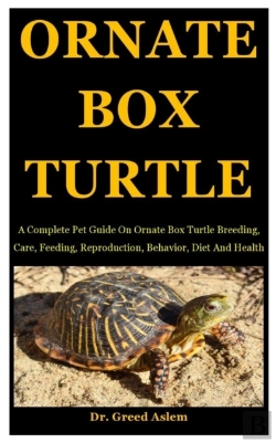 Bertrand.pt - Ornate Box Turtle