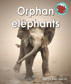 Bertrand.pt - Orphan Elephants