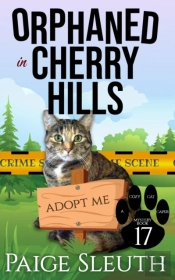 Orphaned In Cherry Hills