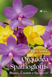 Orquídea Spathoglottis
