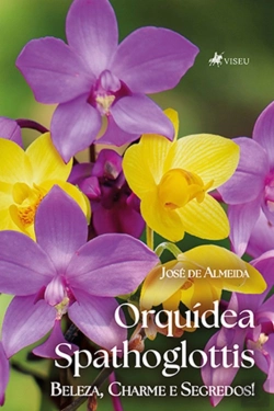 Bertrand.pt - Orquídea Spathoglottis