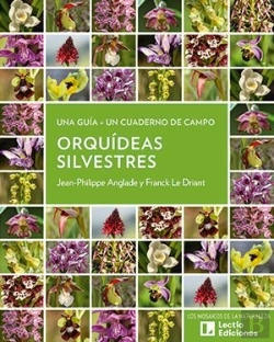Bertrand.pt - Orquideas Silvestres