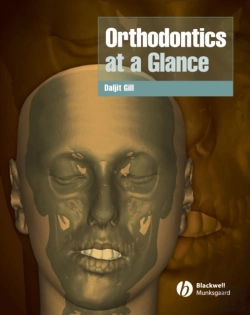 Bertrand.pt - Orthodontics At A Glance