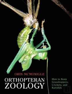 Bertrand.pt - Orthopteran Zoology