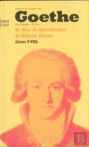 Os Anos de Aprendizagem de Wilhelm Meister  V - VIII