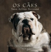 Os Cães