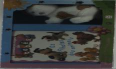 Os Filhotes dos Animais + Peluche