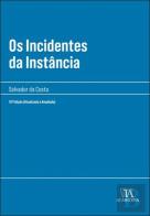 Os Incidentes da Instância