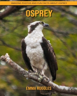 Bertrand.pt - Osprey