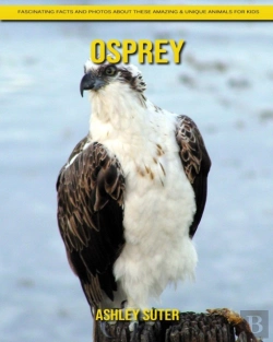 Bertrand.pt - Osprey