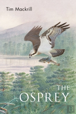 Bertrand.pt - Osprey