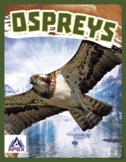 Bertrand.pt - Ospreys
