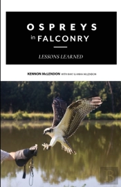 Ospreys In Falconry