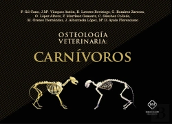 Bertrand.pt - Osteologia Veterinaria: Carnivoros