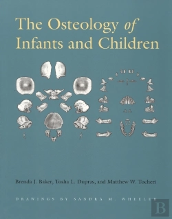 Bertrand.pt - Osteology Of Infants And Children