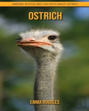 Ostrich