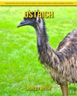 Bertrand.pt - Ostrich