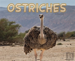 Bertrand.pt - Ostriches