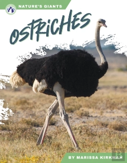 Bertrand.pt - Ostriches