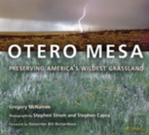 Otero Mesa