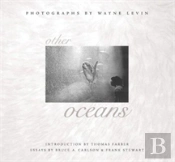 Other Oceans