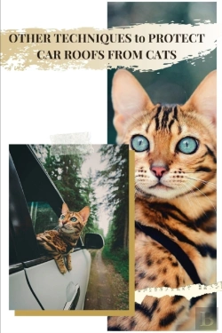 Bertrand.pt - Other Techniques TãÂ¾ Protect Car Roofs From Cats