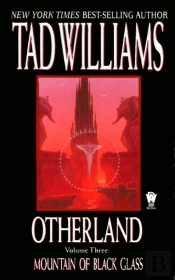 Otherland: Mountain Of Black Glass