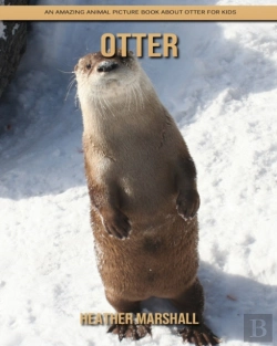 Bertrand.pt - Otter