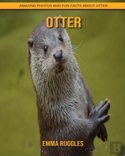 Bertrand.pt - Otter