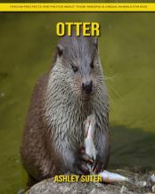 Otter